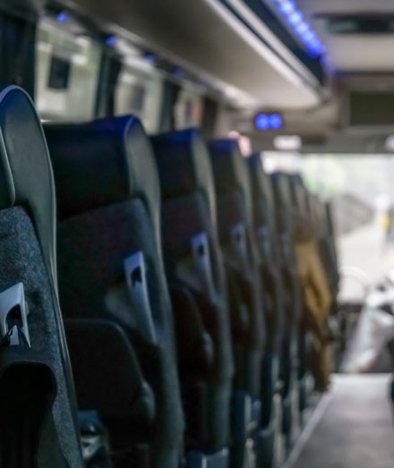 Captivating South Florida Sightseeing Limo Tours